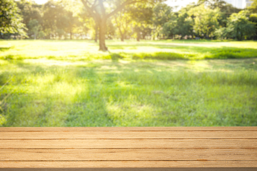 nature-product-backdrop-green-backyard.jpg